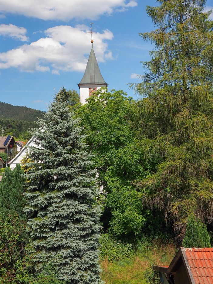 Blick auf den Kirchturm von Bolsternang