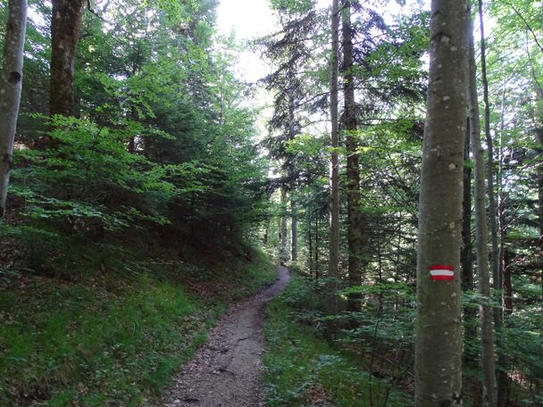 Markierung am Hahnenkopfweg