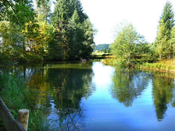 Moorweiher am Wegesrand