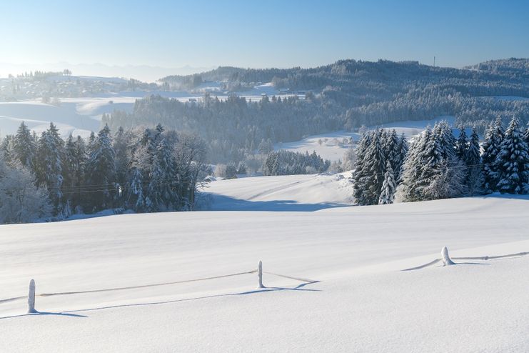 Scheidegg im Winter