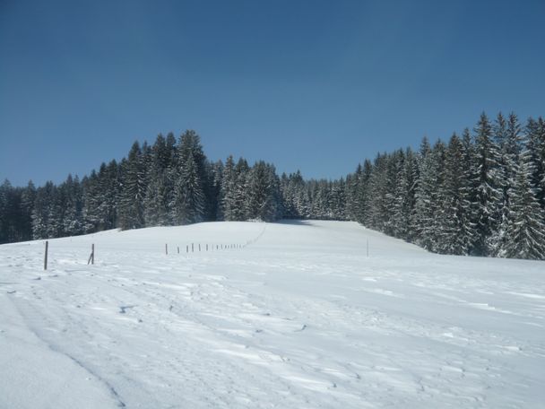 Winterlandschaft an der Loipe Eschach (4)