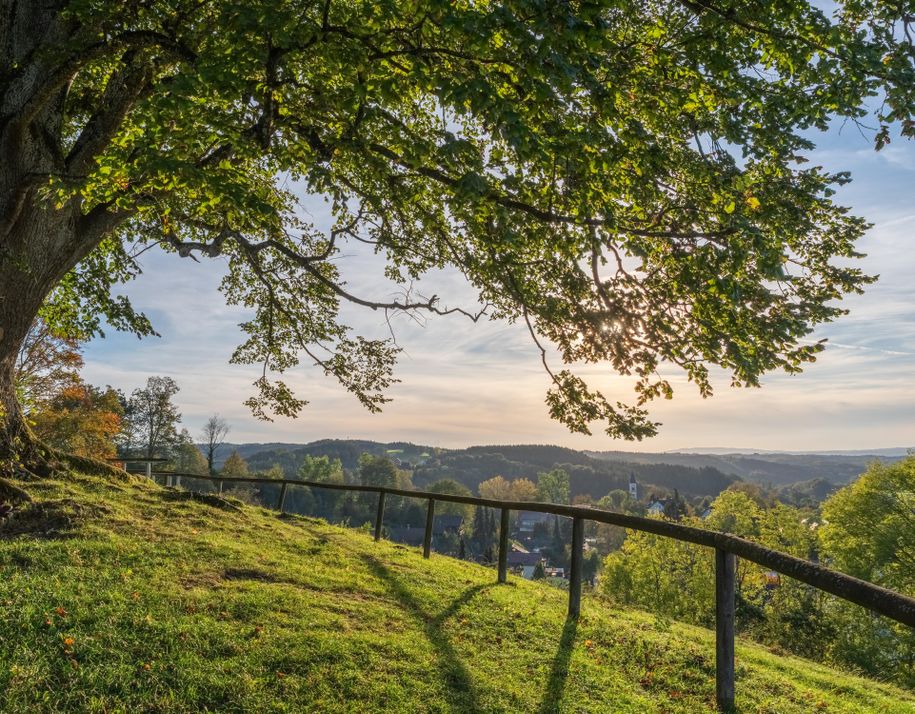 Aussichtspunkt auf der Linde