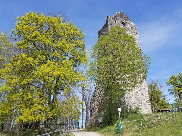 Die Burgruine bei Neuravensburg