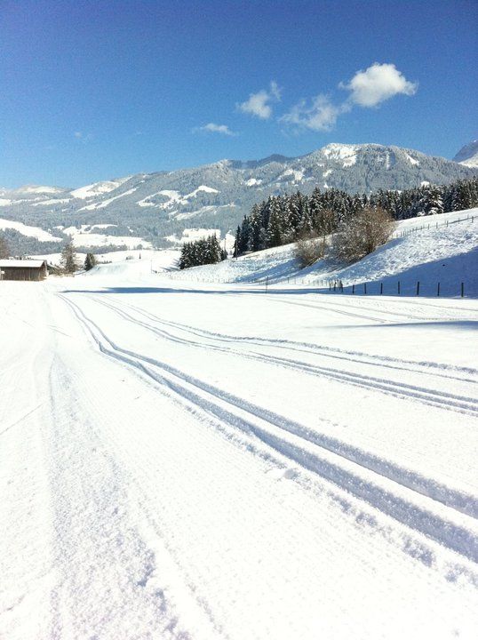 Langlaufen und Skating auf der "Grüner Weg"- Loipe in Fischen