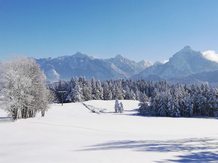 Tegelberg und Säuling im Winter