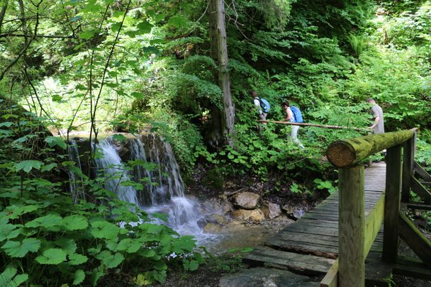 Wanderweg durch die Höllschlucht