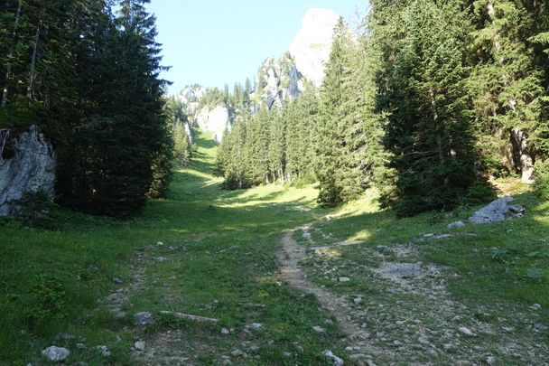 Wiesenweg in Richtung Aggenstein