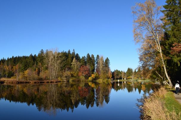 Waldseebad von der Beobachtunsgplattform