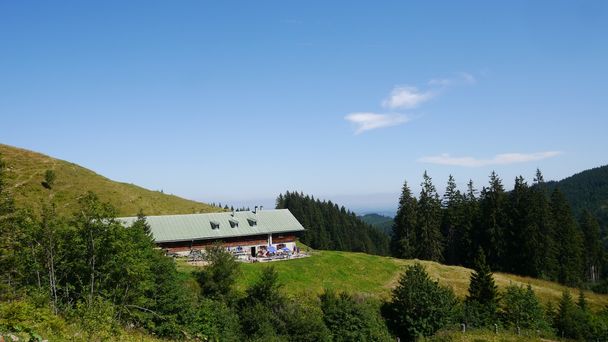 Blick auf die bewirtschaftete Schnitzlertal-Alpe