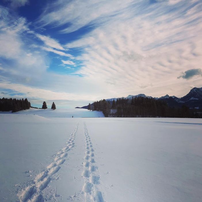 Spuren im Schnee