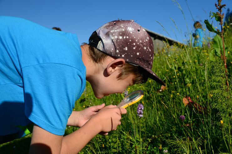 Wiesenentdeckertour