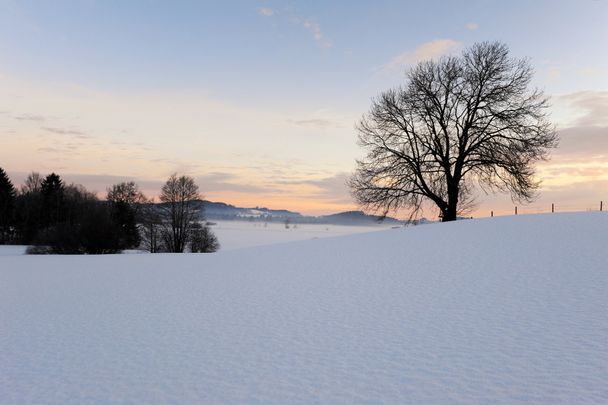 Offene Winterlandschaft