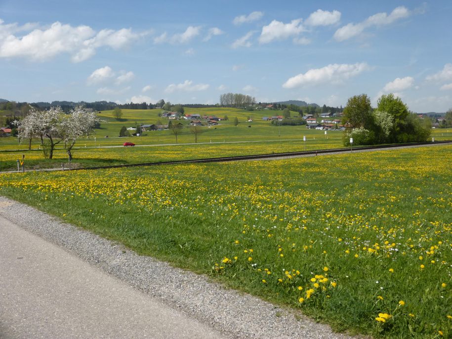 Umgebung von Flecken