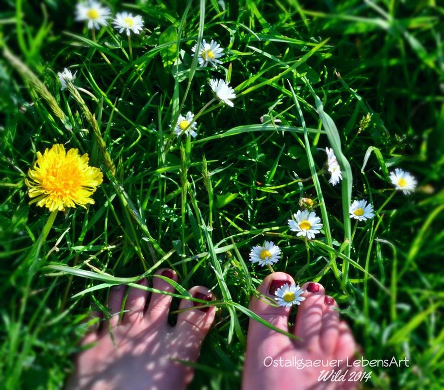 Einfach mal das Gras zwischen den Zehen spüren