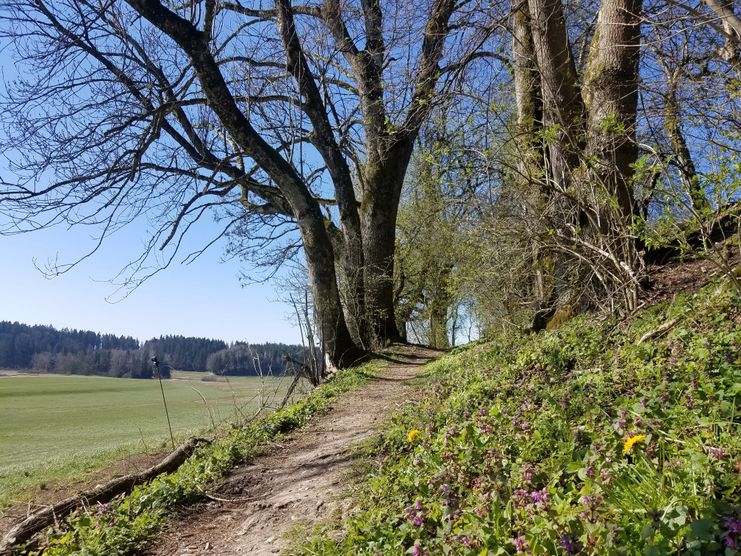 Wanderrundweg 7: "Über Herzmanns, Schreckelberg und Engelitz in den Atzenberger Wald"