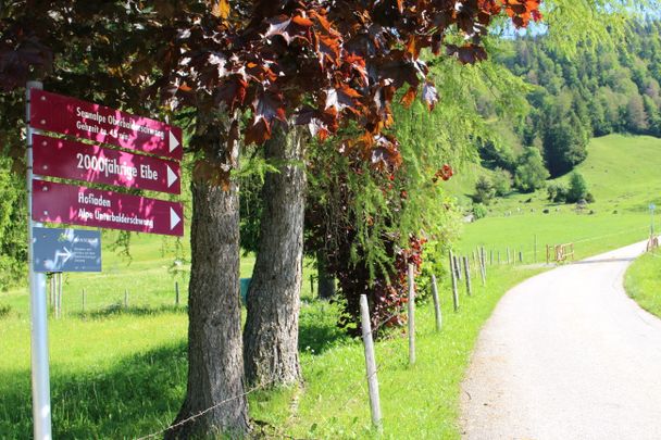 Fast wieder am Ziel - der Abzweig von der Alten Eibe nach Balderschwang