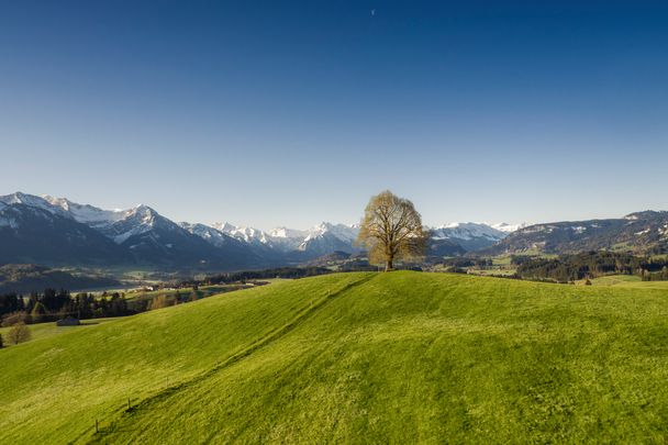 Wittelsbacher Höhe im Frühjahr