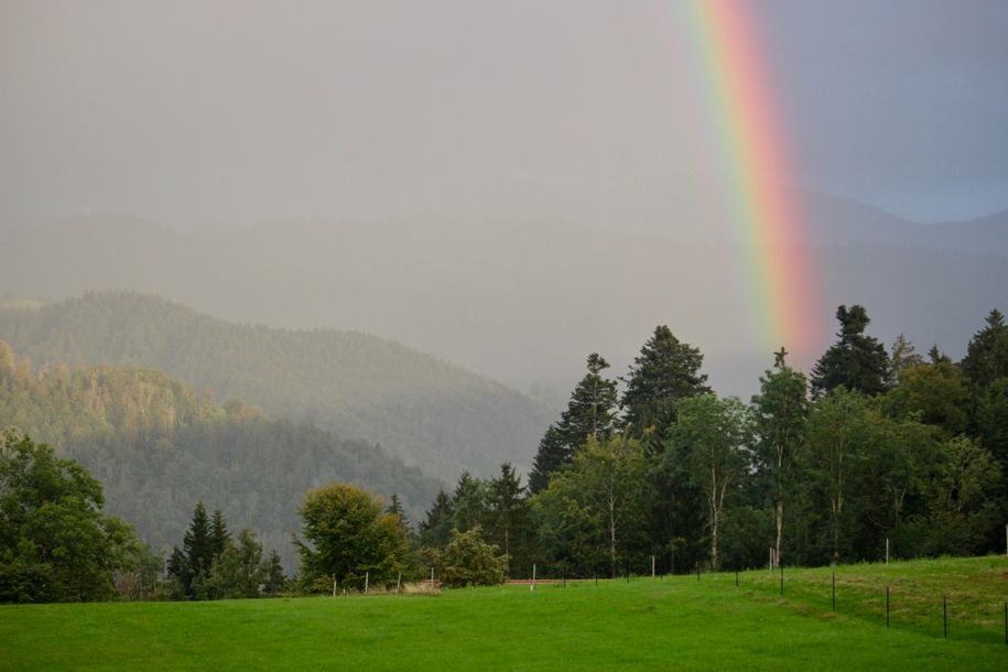 Regenwetter