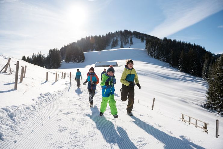 Winterspazieren um das Ofterschwanger Horn