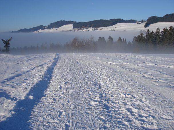 Winterlandschaft am Hanusel Winterwanderweg (2)