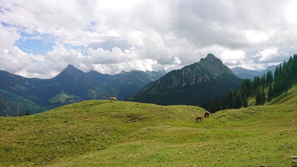 Wiesen am Schönkahler