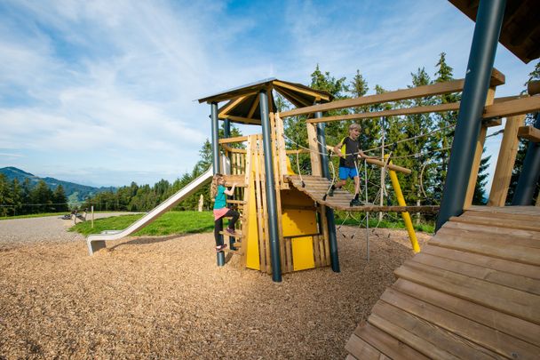 Wildbienen-Spielplatz mit Hängebrücke