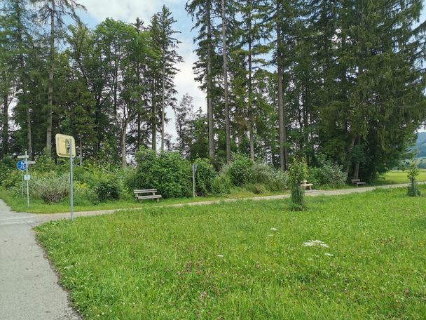 Ruhebänke auf dem Weg zurück nach Schwangau