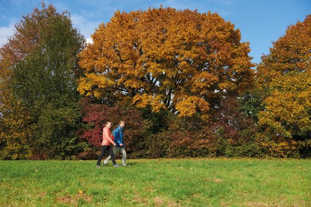 Wandern am Katharinenberg bei Mindelheim, Glückstaler-Runde