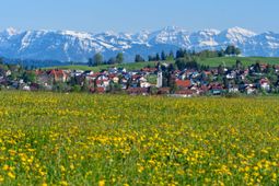 Scheidegg-Fruehjahr_Thomas-Gretler