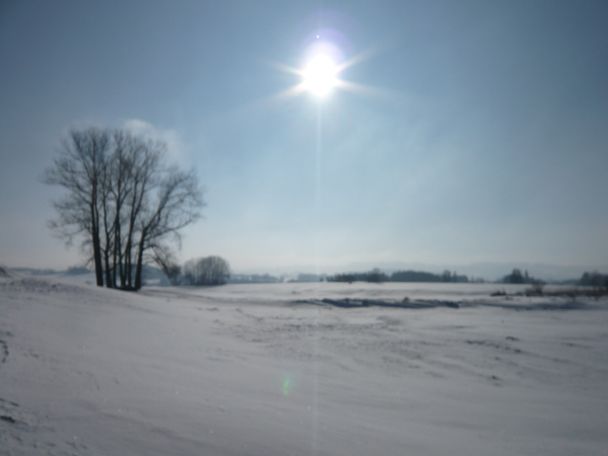 Winterlandschaft an der Flugplatzloipe