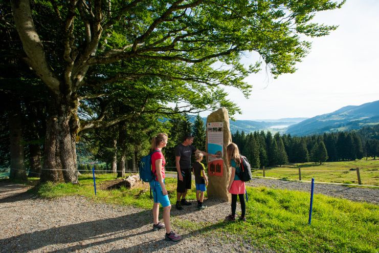 Stationen und Aussichten entlang des Wildbienenpfades