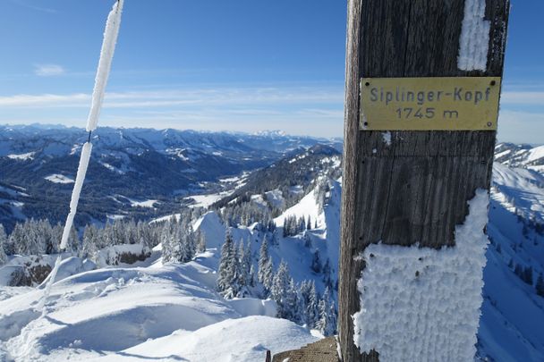 Von Balderschwang auf den Siplingerkopf (1.748,3m)