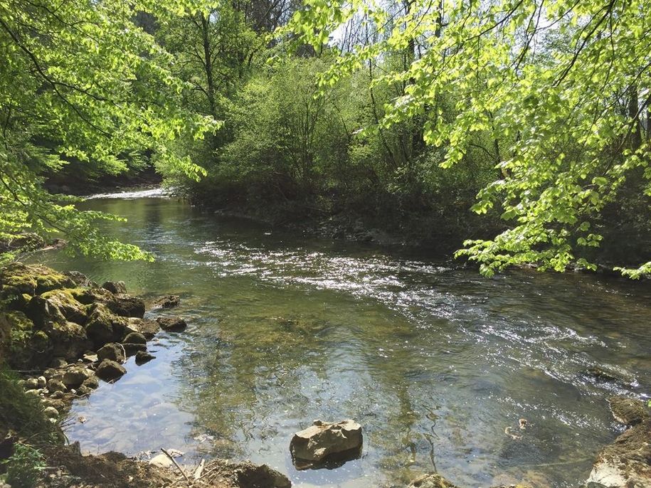 Ratzenried entlang der Argen