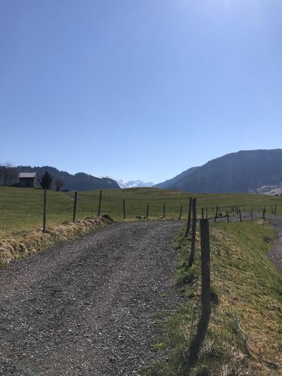 Ein gut präparierter Weg führt über Felder nach Oberdorf