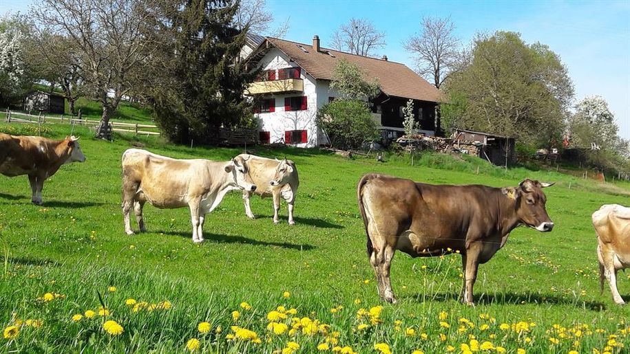 Ferienhaus Ansicht Südwest