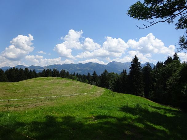 Über Wald- und Wiesenwege führt der Weg bis nach Kierwang