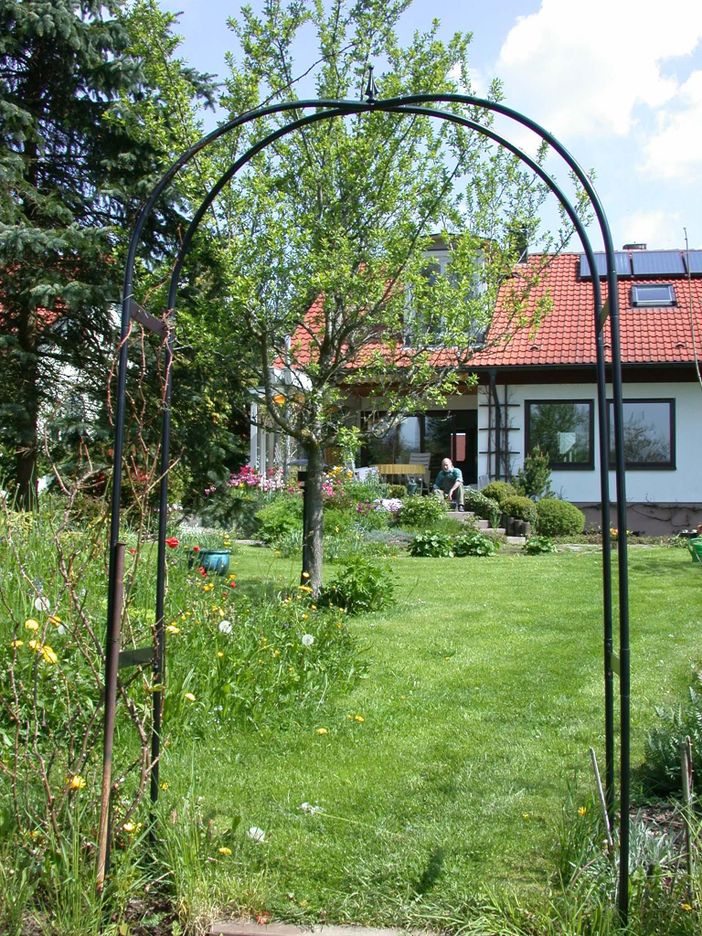 Garten im Frühjahr