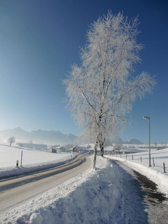 Winterlandschaft