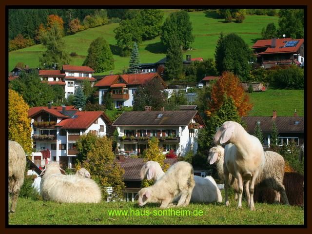 Blick zum Haus Sontheim