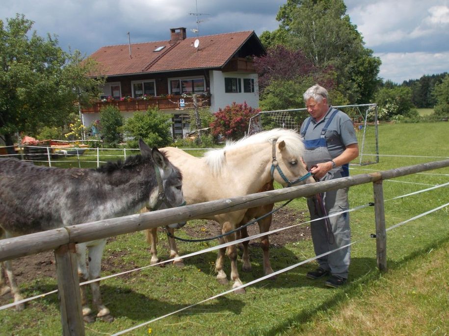 Die freuen sich auf Streicheleinheiten