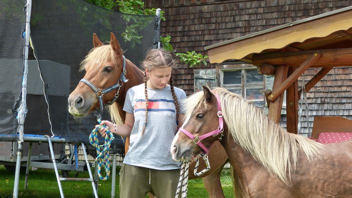 Ferienhof Endreß Goldi und Bob unsere Ponys