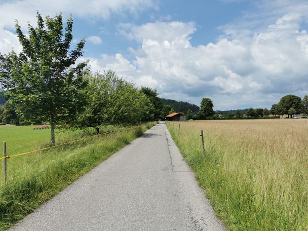 Weg zurück in Richtung Schwangau