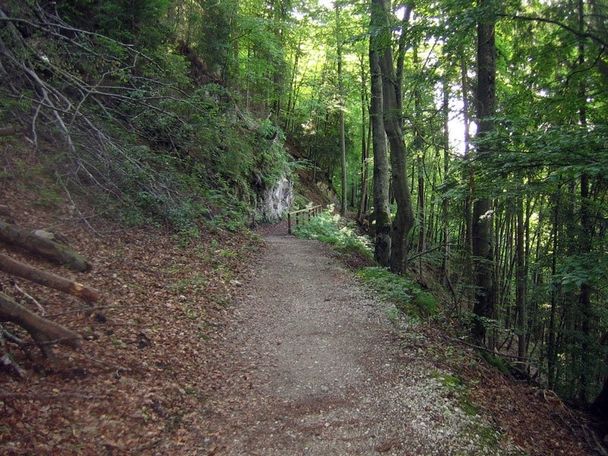 Oberhalb des Schwansees auf dem Alpenrosenweg