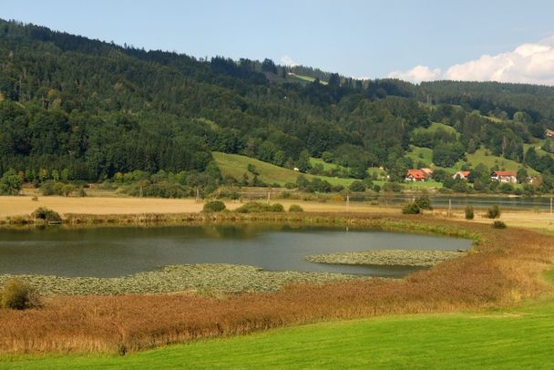 Alpseerunde – Wanderung um den größten Natursee des Allgäus