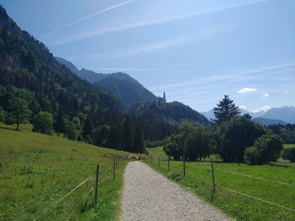 Blick auf das Schloss Neuschwanstein von der Reith-Alpe aus