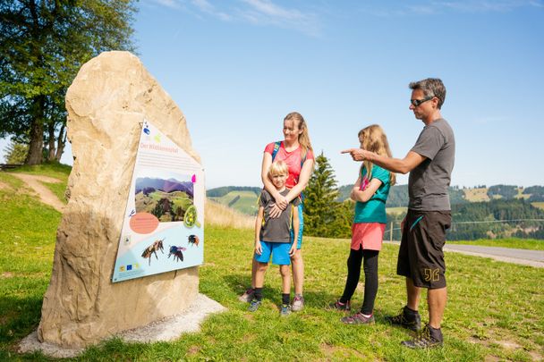 Informationstafel am Wildbienenpfad