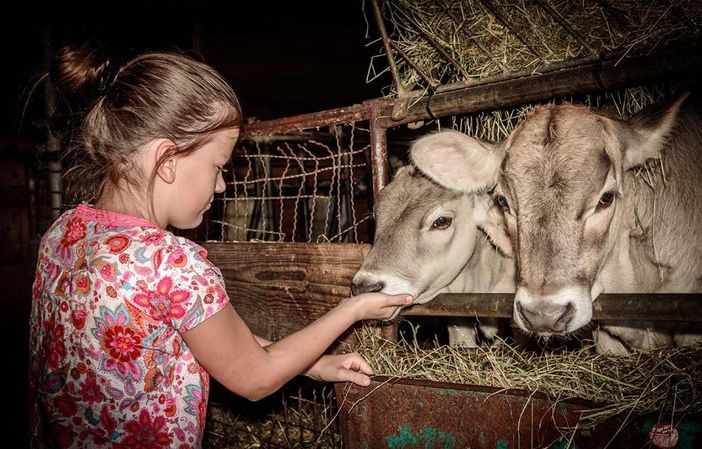 Landwirtschaft hautnah erleben