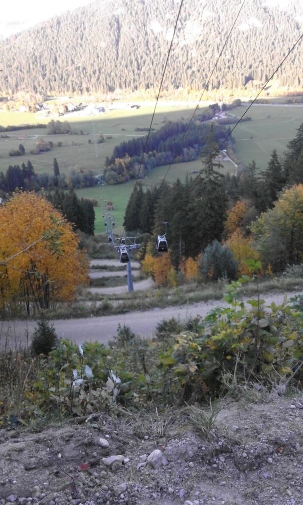 Serpentinen der Fahrstraße hinunter vom Breitenberg