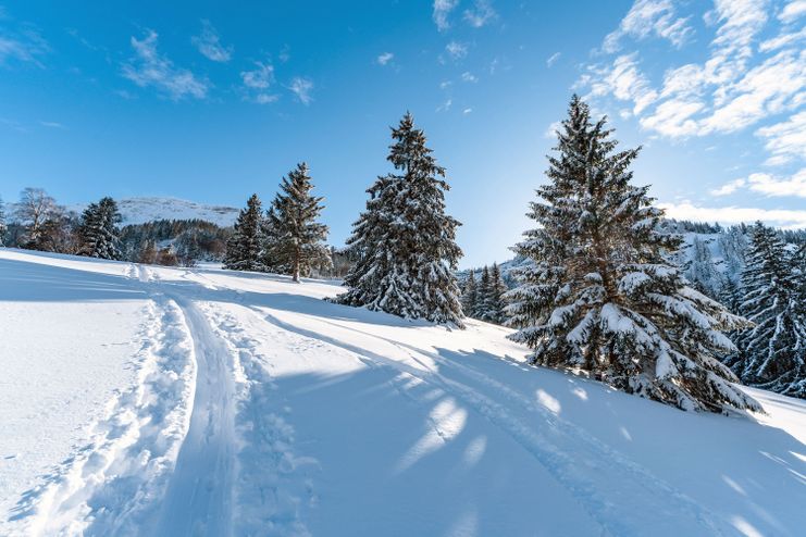 Winter im Hochgratgebiet