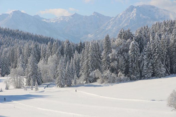 Loipenglück in Rieden am Forggensee